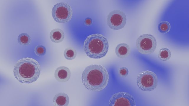 Exploring Exocytosis Through the Discovery of a Novel Cellular Nanomachine