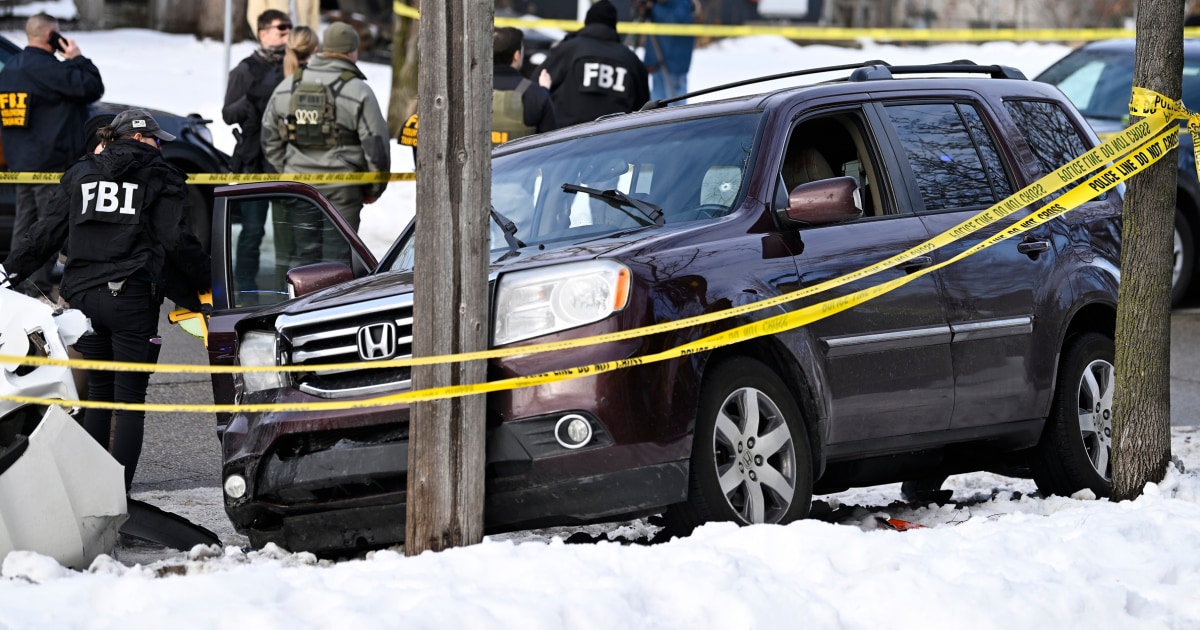 Minneapolis Woman Fatally Shot by ICE Officer