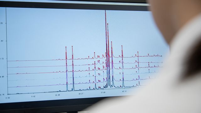 X-Ray Technology Facilitates Quick Multiscale Imaging of Bone Structures