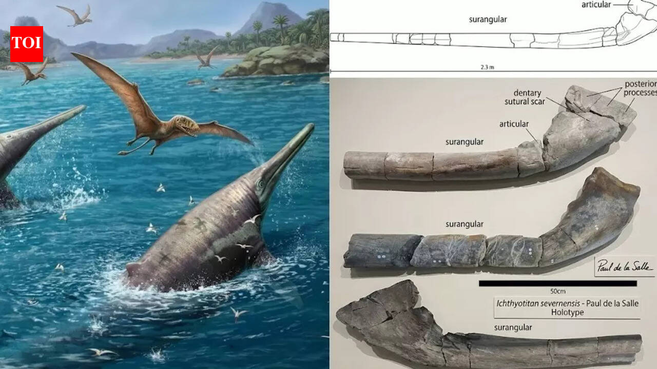 Discovery of Ichthyotitan Severnensis: 11-Year-Old Girl Uncovers 202-Million-Year-Old Marine Reptile Fossil