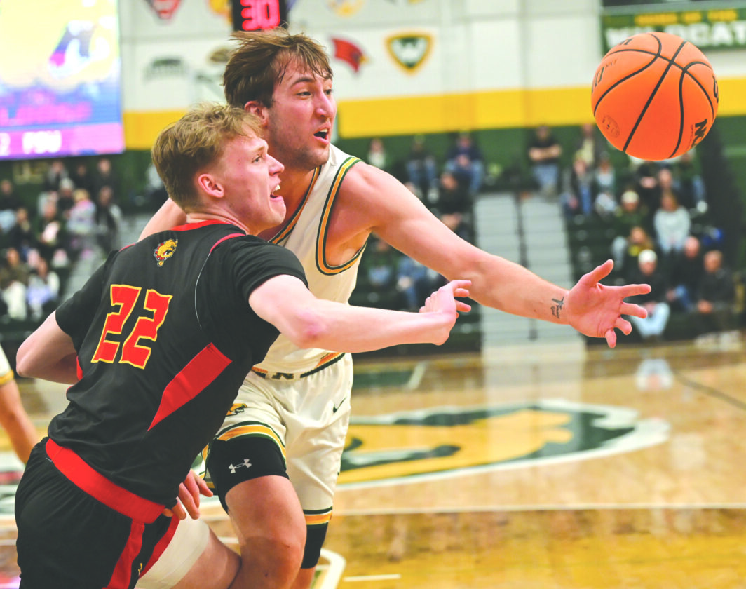 Wildcat Men Achieve First Milestone in GLIAC Tournament | News, Sports, Jobs